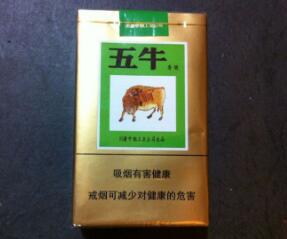 老外烟花对射堪比枪战